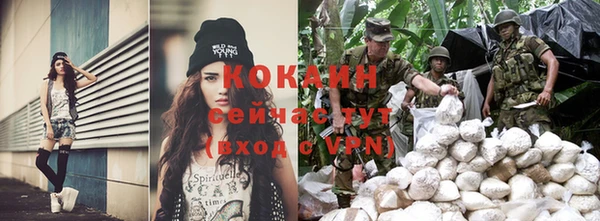 спайс Баксан