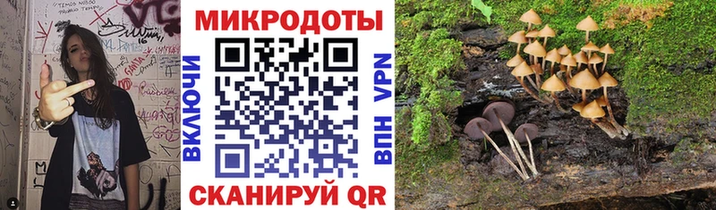 Псилоцибиновые грибы ЛСД  купить наркотики цена  Новотроицк 